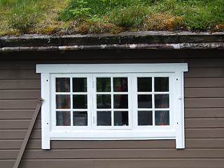 Image showing White window and roof with grass