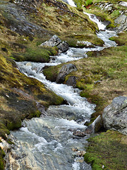 Image showing Small stream or brook in Norway