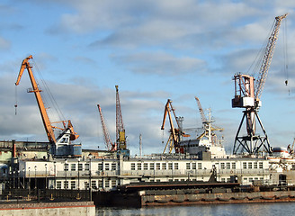 Image showing Busy seaport - cargo cranes