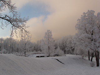 Image showing Winter