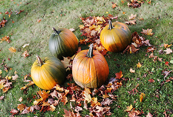 Image showing Autumn scenic