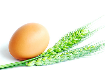 Image showing Egg and wheat ear