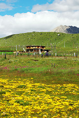 Image showing Landscape of grassland