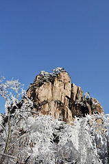 Image showing Rime and mountain in winter