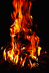 Image showing Campfire at night