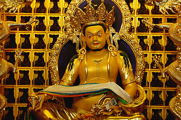 Image showing Yellow Jambhala