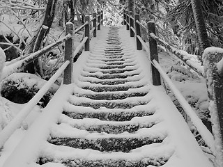 Image showing Snowy Stairs