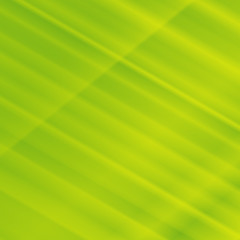 Image showing Green striped abstract background