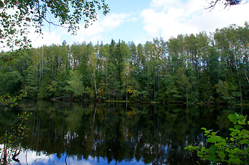 Image showing Reflection of the green forest 