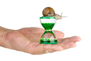 Image showing Snail and gel hourglass on the palm