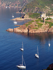 Image showing Sailboat and Girolata genovese fort , Corsica , France