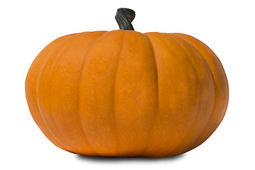 Image showing Pumpkin