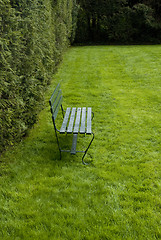 Image showing Green Bench in a Garden
