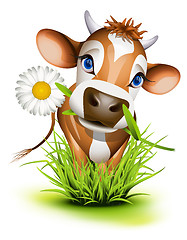 Image showing Jersey cow in grass