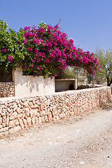 Image showing mediterranean brick entrance garden with pink flowers