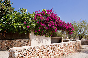 Image showing mediterranean brick entrance garden with pink flowers