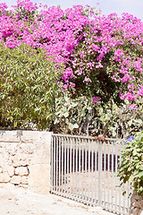 Image showing mediterranean brick entrance garden with pink flowers