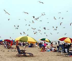 Image showing Beach