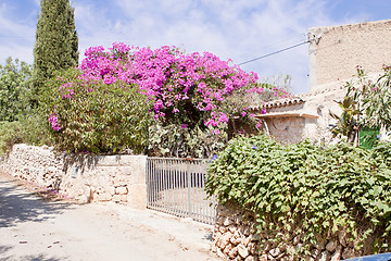 Image showing mediterranean brick entrance garden with pink flowers