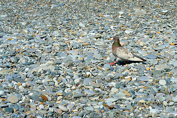 Image showing texture beach