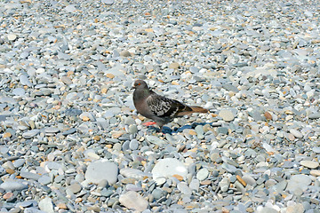 Image showing texture beach