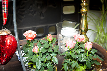 Image showing little roses