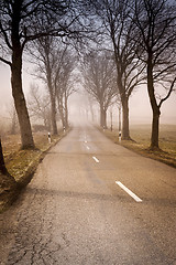Image showing road with trees