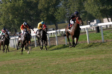 Image showing horse racing