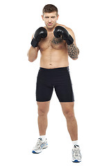 Image showing Full length portrait of attractive boxer posing