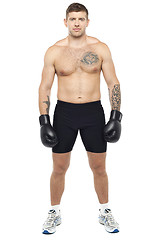 Image showing Full length picture of young muscular boxer