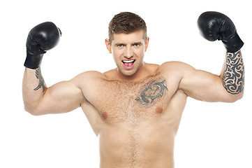 Image showing Attractive young boxer posing strongly