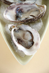 Image showing Oysters Natural