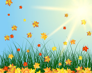 Image showing sun meadow