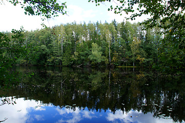 Image showing Reflection of the green forest 