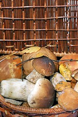 Image showing Basket with mushrooms