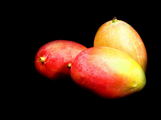 Image showing Mangos