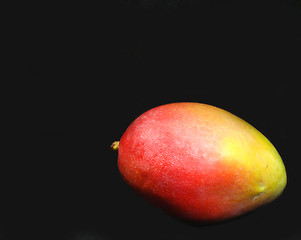 Image showing Mango