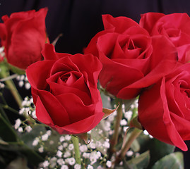 Image showing Bouquet of Roses