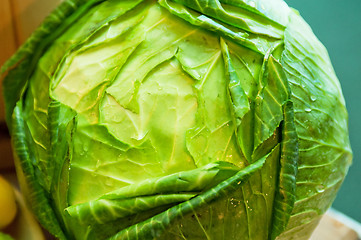 Image showing cabbage