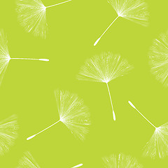 Image showing Dandelion seeds pattern