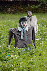 Image showing scarecrow 