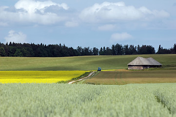 Image showing field, cottage and dirt track trough agricultural land