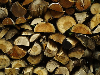 Image showing fire wood pile