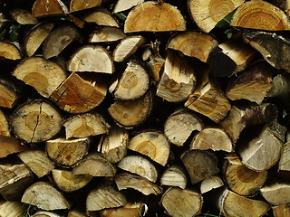 Image showing fire wood pile