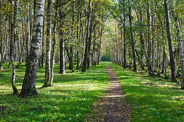 Image showing The deserted avenue shined by solar beams in autumn park