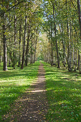 Image showing The deserted avenue shined by solar beams in autumn park