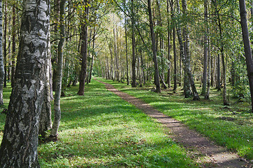 Image showing The deserted avenue shined by solar beams in autumn park