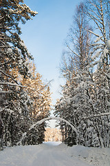 Image showing Snow covered path during winter wood