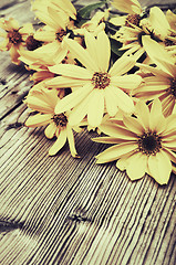 Image showing Yellow Flowers - Vintage Look