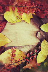 Image showing Autumn Background